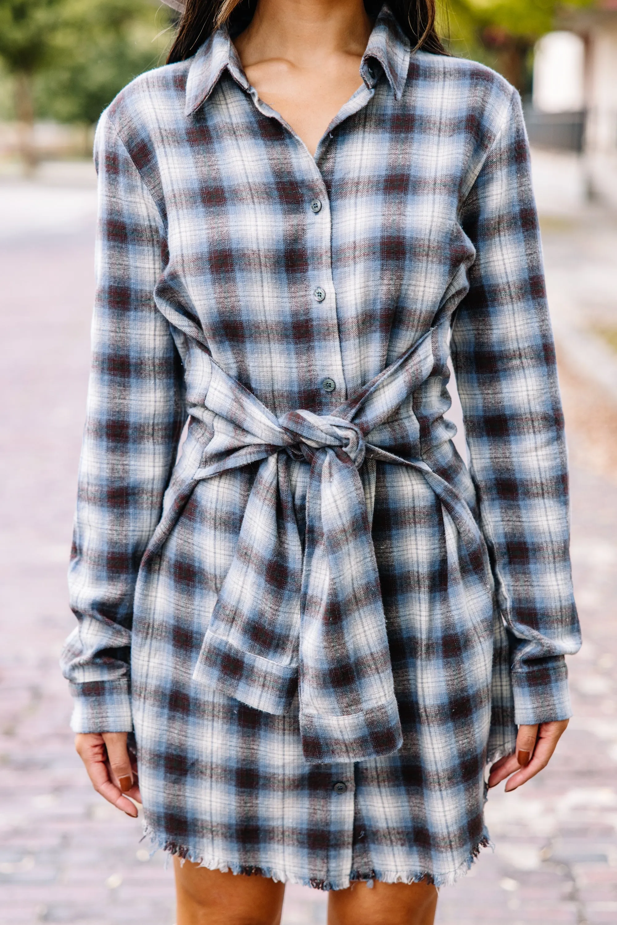Dream Easy Blue Plaid Dress