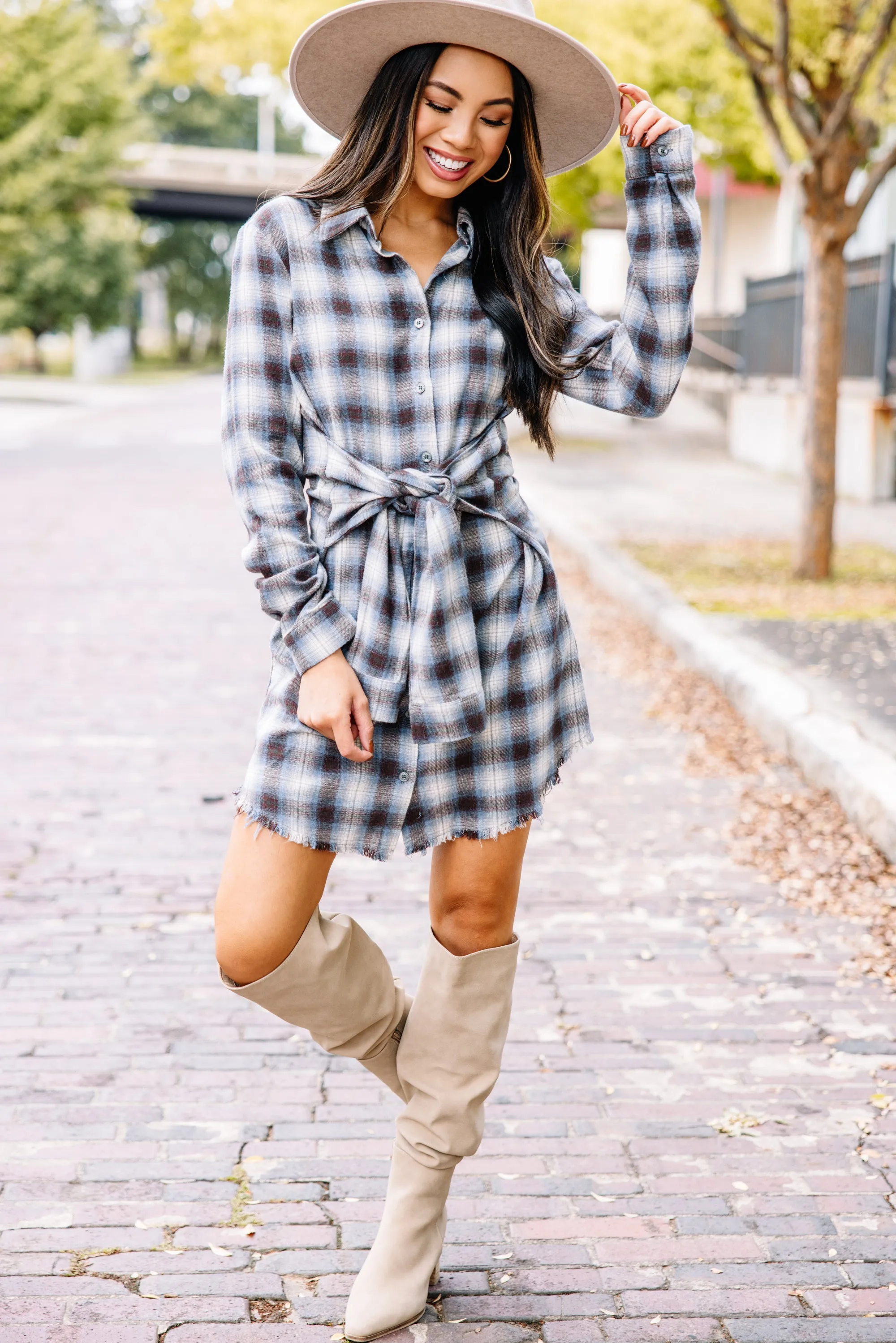 Dream Easy Blue Plaid Dress