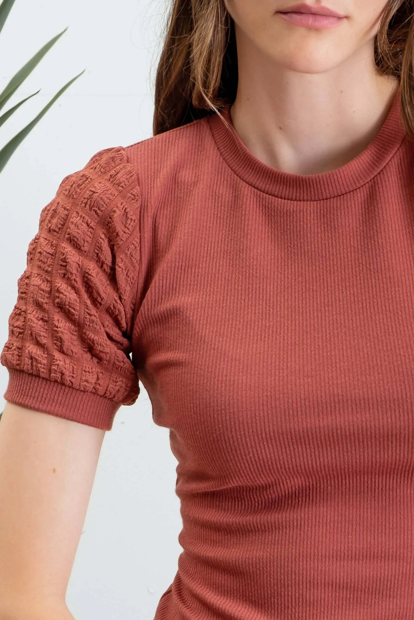 Popcorn Sleeve Knit Top