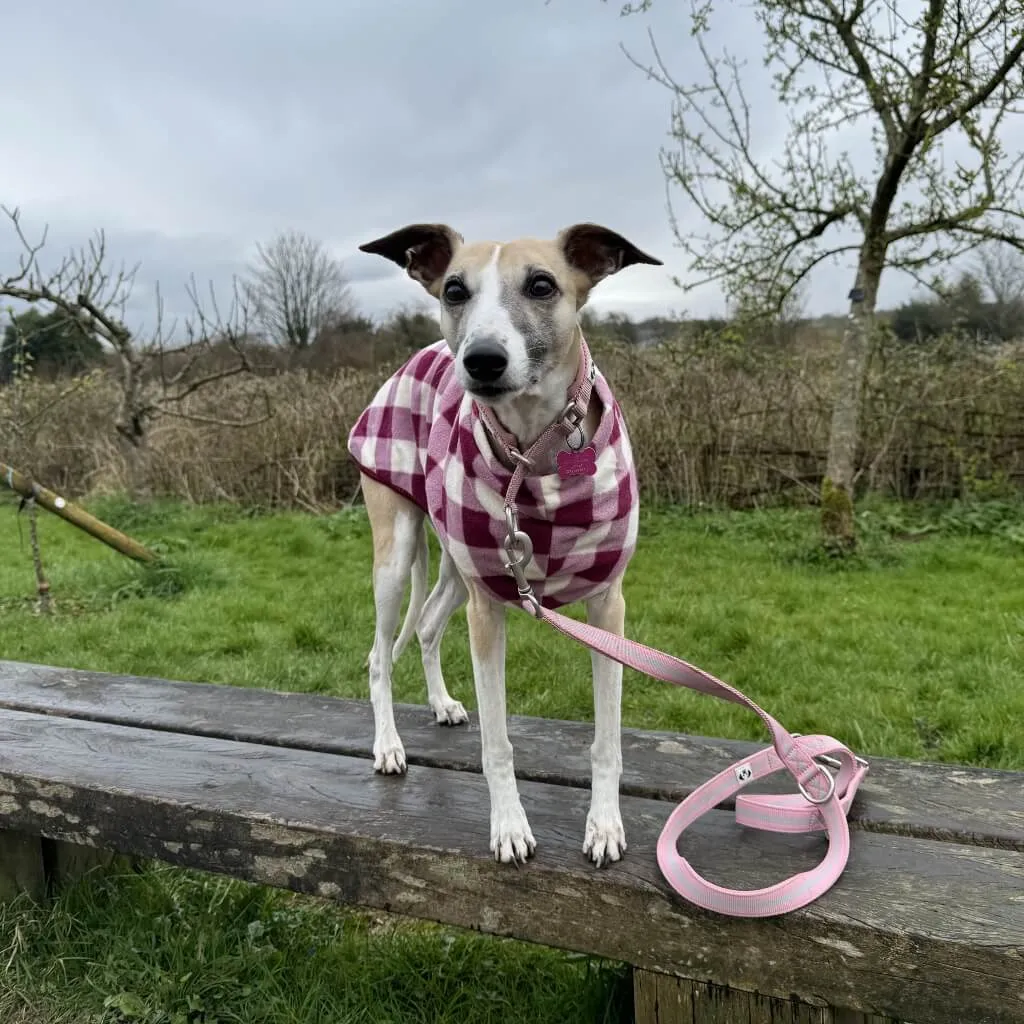 The Floofy Fleece Dog Coat | Berry Gingham