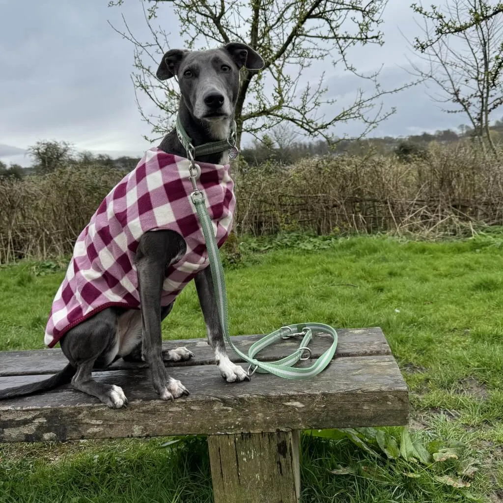 The Floofy Fleece Dog Coat | Berry Gingham